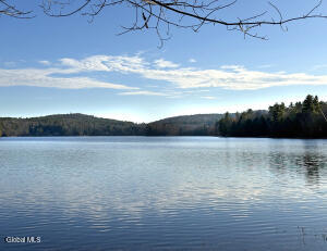 23 Teds Way Diamond Point, NY 12824