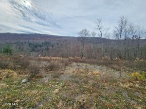 143 Rebel Ridge Road Jefferson, NY 12093