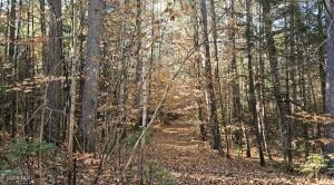 183 Mountain Path North Creek, NY 12853