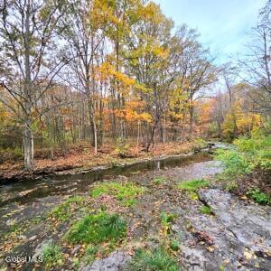 L53 Tarrytown Road Clarksville, NY 12041