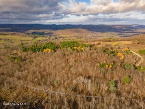 L13 W Woodstock Road Berne, NY 12023