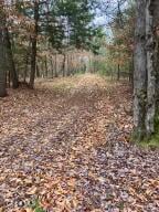 0 Scofield Road Lake Luzerne, NY 12846