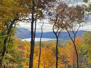 L43.2 Travis Trail Lake George, NY 12845