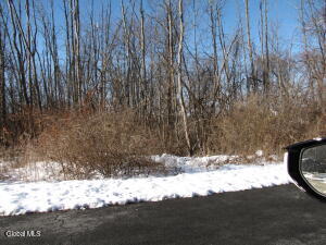 39 Troy Avenue Colonie, NY 12110