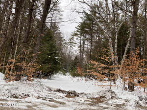 L62.2 Moffitt Road Chestertown, NY 12817