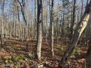 3171 NY-8 Johnsburg, NY 12843