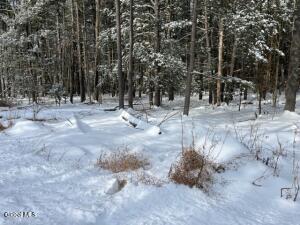 51 Circle Drive West Coxsackie, NY 12192