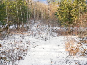 163 Armlin Road Middleburgh, NY 12122