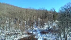 L1 Peakville Road Hancock, NY 13783