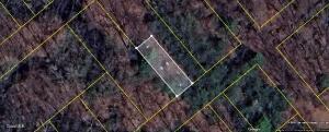 115A N Amherst Avenue Schenectady, NY 12304