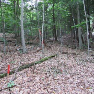 L16 Barker Road Edinburg, NY 12134
