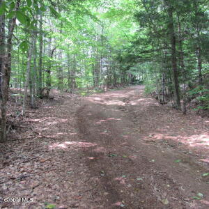 L2 Palmer Priv Lane Edinburg, NY 12134