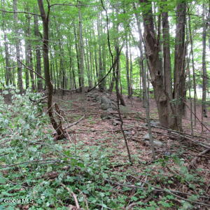 L11 Barker Road Edinburg, NY 12134