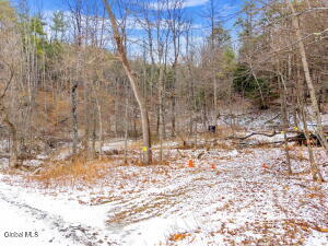 L4 Flat Creek Road Gilboa, NY 12076