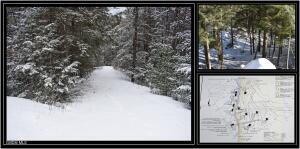 13 Carriage Knolls Road Chestertown, NY 12817