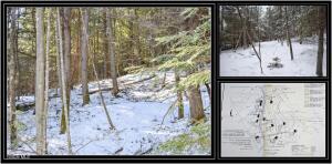 20 Carriage Knolls Road Chestertown, NY 12817