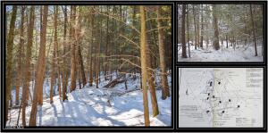 22 Carriage Knolls Road Chestertown, NY 12817