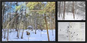 37 Carriage Knolls Road Chestertown, NY 12817