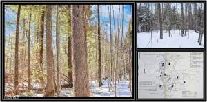 62 Carriage Knolls Road Chestertown, NY 12817
