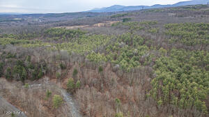 4875-4879 Potter Hollow Road Preston Hollow, NY 12469