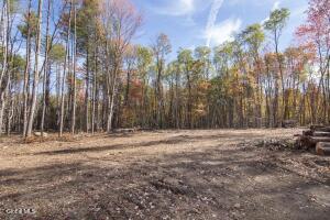 101a Sand Hill Road Greenfield Center, NY 12833