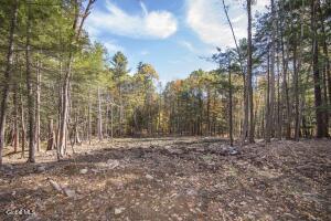 103a Sand Hill Road Greenfield Center, NY 12833