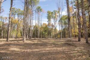 113a Sand Hill Road Greenfield Center, NY 12833