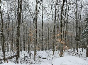 L12 Fourteenth Road Minerva, NY 12851