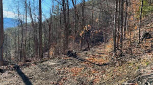 0 Gorge Road Middleburgh, NY 12122
