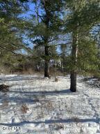 L1 Griffin Avenue Hoosick Falls, NY 12090