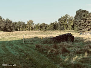 82 Dunsbach Ferry Road Cohoes, NY 12047