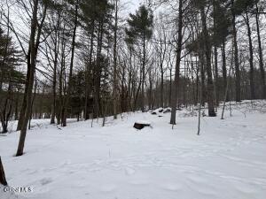 L1.22 Stuffle Street Cropseyville, NY 12052