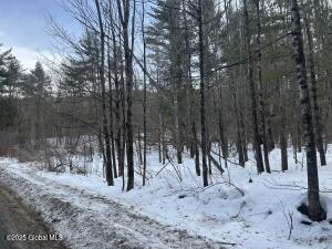 L26 Hogback Road Crown Point, NY 12928