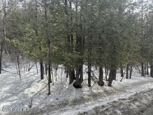 L24 Hogback Road Crown Point, NY 12928