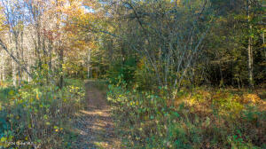 L122 Dimmick Road Gansevoort, NY 12831