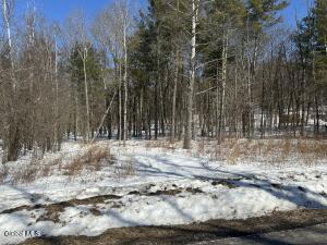 L27 Verda Avenue Clarksville, NY 12041
