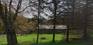 1162 County Route 22 Altmar, NY 14411
