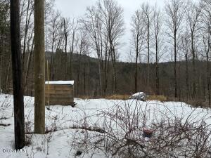 38 Hill Hollow Rd Road Petersburgh, NY 12138