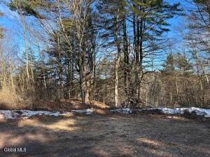 0 County Route 21 Off Whitehall, NY 12887