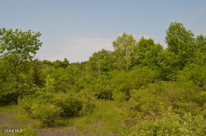 25 Barent Winne Road Selkirk, NY 12158