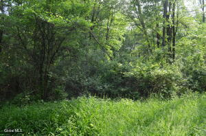 9 Cedar Road Selkirk, NY 12158
