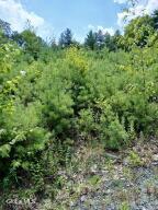 2468 Indian Fields Road New Scotland, NY 12067