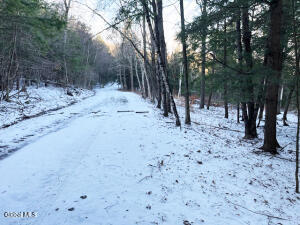 L29 Mountain Crest Road Warnerville, NY 12187