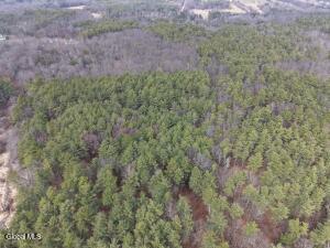 Lot 54 Rr 51 New Baltimore, NY 12087