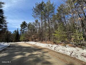 204 Mountain Path North Creek, NY 12853