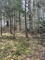 00 Weaver Dam Road Petersburgh, NY 12138
