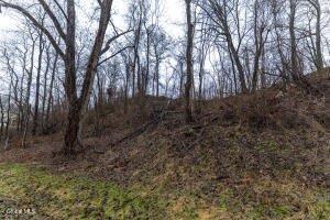 94 Briar Avenue Albany, NY 12203