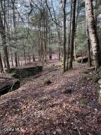 0 Becker Road Gilboa, NY 12122