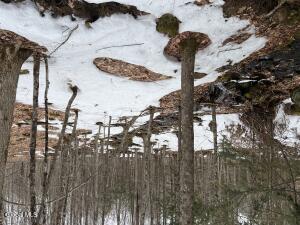 277 Roaring Branch Road Stony Creek, NY 12878