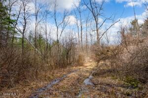 L3 McGill Road East Nassau, NY 12062